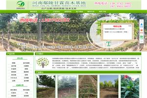 鄢陵甘霖苗木